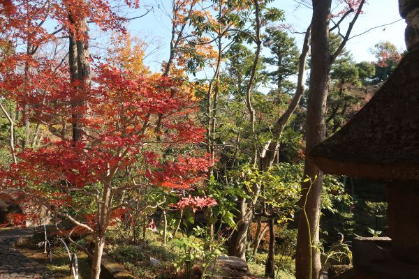 根津美術館庭園