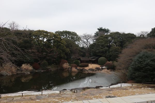 東京国立博物館庭園