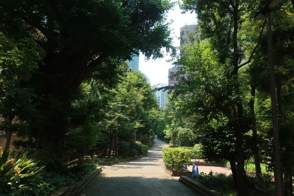 泉屋博古館東京への道