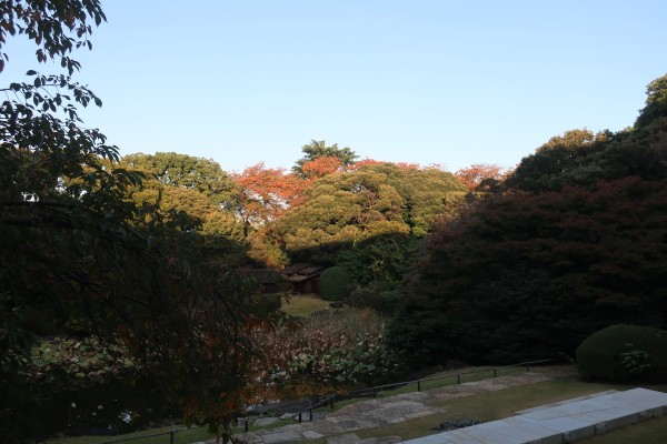 東京国立博物館庭園風景