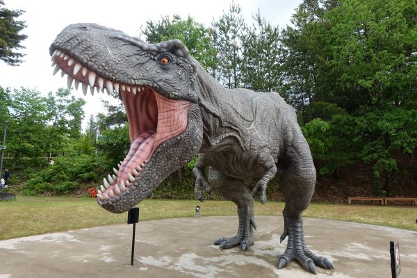 屋外のティラノサウルス