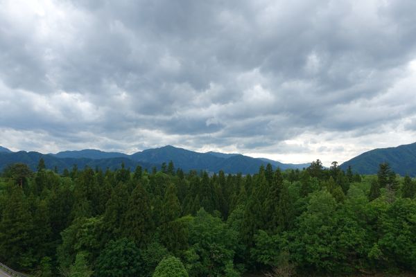 福井県立恐竜博物館眺望