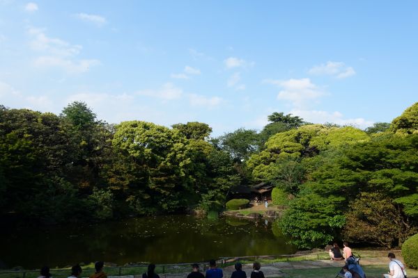 庭園