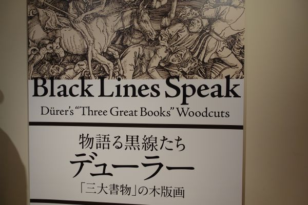 物語る黒線たち　デューラー