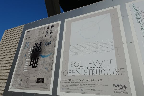 ソルルウィット