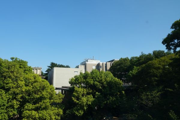東京藝術大学美術館から見た大学構内