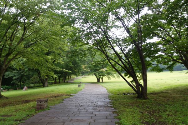 宇都宮文化の森